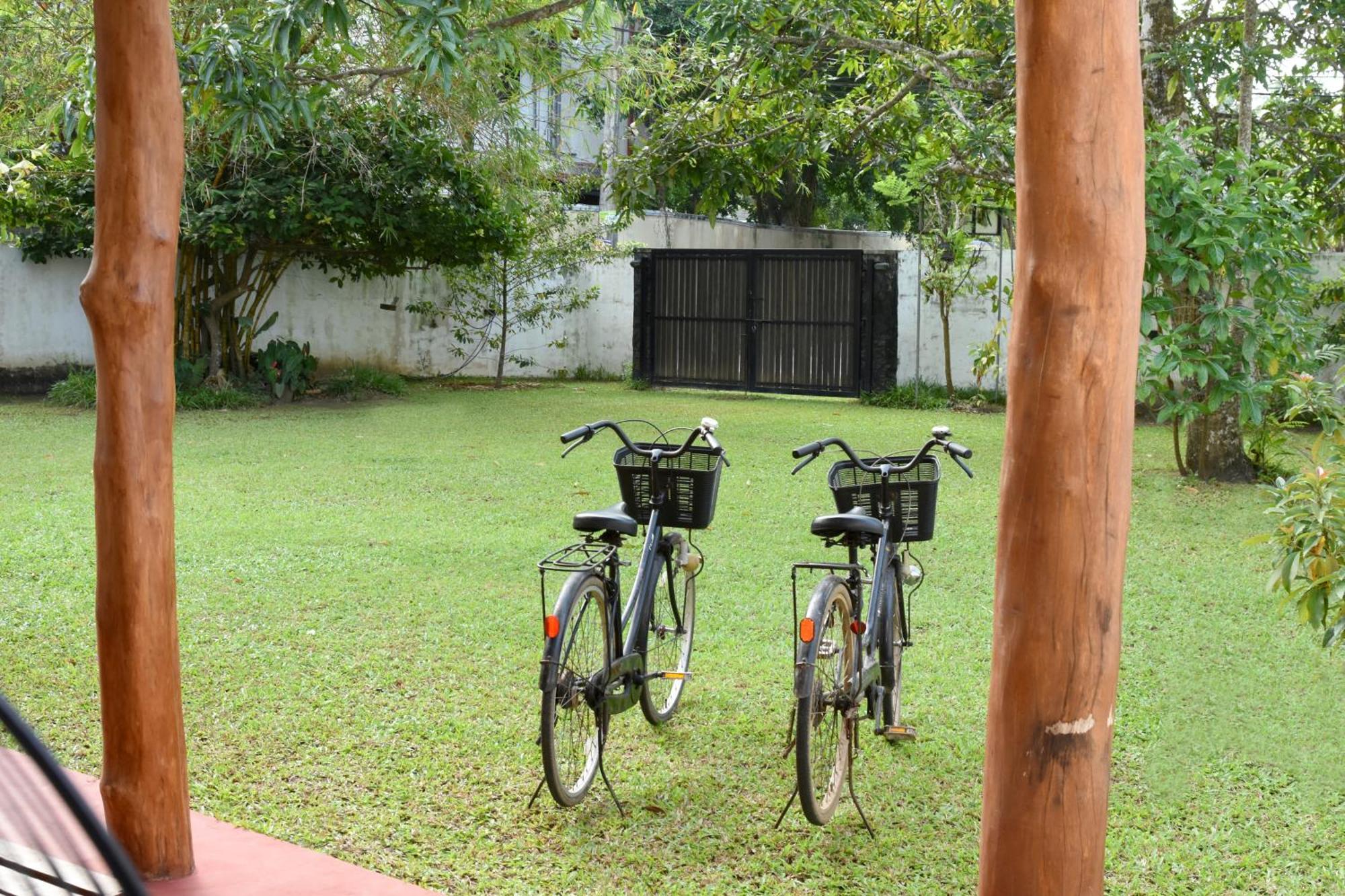 Villa Polhena Matara Oda fotoğraf